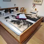 Hereinspaziert * Швендау